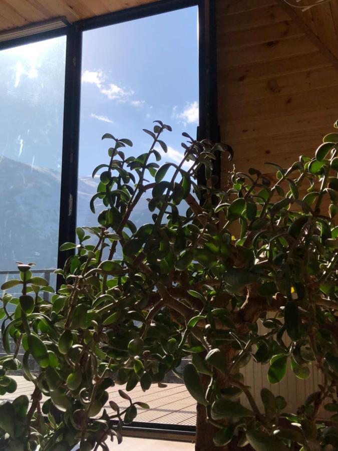 Alagi Cottage Kazbegi Buitenkant foto