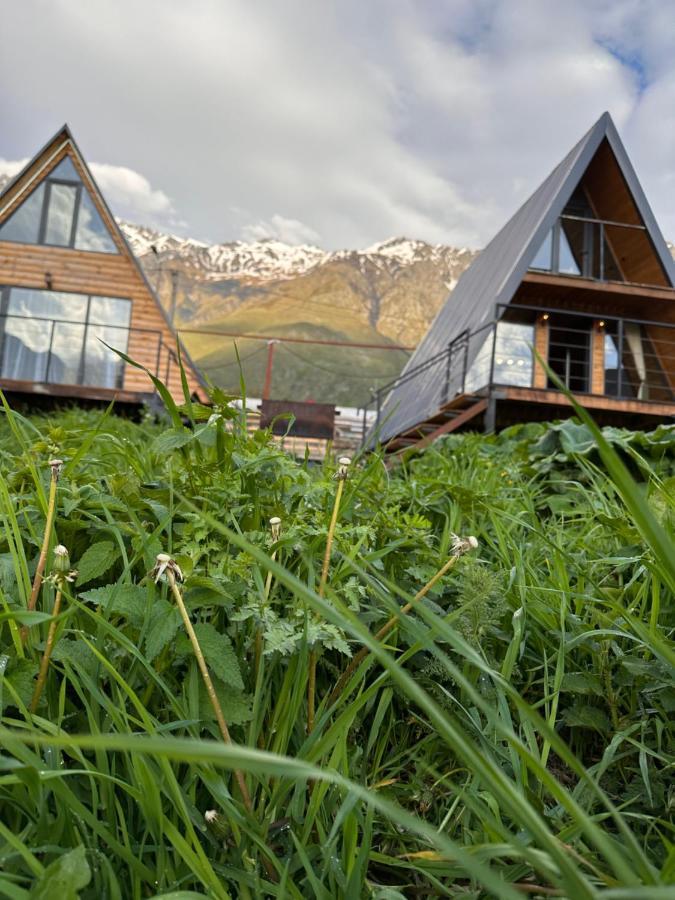 Alagi Cottage Kazbegi Buitenkant foto
